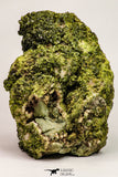 09113 - Slender Grass Green Epidote Crystals on Matrix Imilchil Mine Morocco