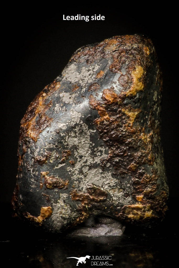 20949 - Taza (NWA 859) Iron Ungrouped Plessitic Octahedrite Meteorite 2.0g ORIENTED