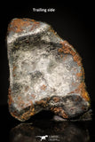 20949 - Taza (NWA 859) Iron Ungrouped Plessitic Octahedrite Meteorite 2.0g ORIENTED