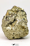 09114 - Top Beautiful 1.89 Inch Pyrite Crystals from famous Navajun Mines (Spain)