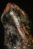 20949 - Taza (NWA 859) Iron Ungrouped Plessitic Octahedrite Meteorite 2.0g ORIENTED
