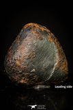 20950 - Taza (NWA 859) Iron Ungrouped Plessitic Octahedrite Meteorite 2.3g ORIENTED