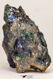 09115 - Top Beautiful 2.99 Inch Chalcopyrite Crystals - South Morocco