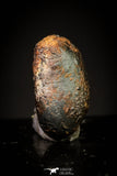 20950 - Taza (NWA 859) Iron Ungrouped Plessitic Octahedrite Meteorite 2.3g ORIENTED