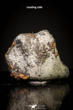 20951 - Taza (NWA 859) Iron Ungrouped Plessitic Octahedrite Meteorite 1.2g ORIENTED