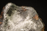 20951 - Taza (NWA 859) Iron Ungrouped Plessitic Octahedrite Meteorite 1.2g ORIENTED