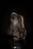 20951 - Taza (NWA 859) Iron Ungrouped Plessitic Octahedrite Meteorite 1.2g ORIENTED