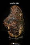 20952 - Taza (NWA 859) Iron Ungrouped Plessitic Octahedrite Meteorite 0.7g ORIENTED