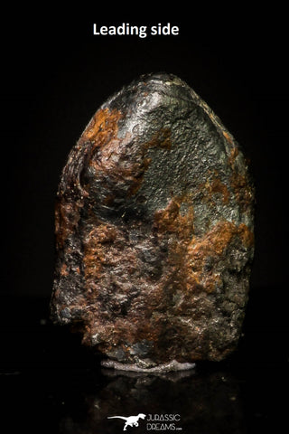 20953 - Taza (NWA 859) Iron Ungrouped Plessitic Octahedrite Meteorite 0.8g ORIENTED