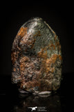 20953 - Taza (NWA 859) Iron Ungrouped Plessitic Octahedrite Meteorite 0.8g ORIENTED
