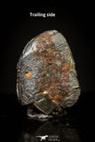 20954 - Taza (NWA 859) Iron Ungrouped Plessitic Octahedrite Meteorite 0.8g ORIENTED