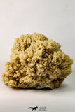 09133 - Top Beautiful Huge 7.80 Inch Calcite Crystals from South Morocco