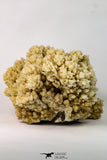 09133 - Top Beautiful Huge 7.80 Inch Calcite Crystals from South Morocco