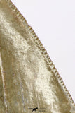 09144 - Top Beautiful 2.94 Inch Megalodon Shark Tooth Miocene - USA