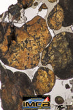 09152 - Sericho Pallasite Meteorite Polished Section Fell in Kenya 24 g