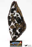 09153 - Sericho Pallasite Meteorite Polished Section Fell in Kenya 18.6 g