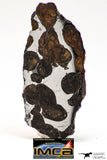 09154 - Sericho Pallasite Meteorite Polished Section Fell in Kenya 10.1 g