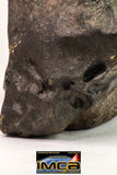 09156 - Complete Oriented NWA Unclassified Ordinary Chondrite Meteorite 5050 g With Fusion Crust