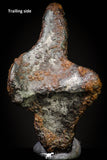 20977 - Taza (NWA 859) Iron Ungrouped Plessitic Octahedrite Meteorite 1.7g ORIENTED