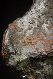 20977 - Taza (NWA 859) Iron Ungrouped Plessitic Octahedrite Meteorite 1.7g ORIENTED