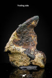 20978 - Taza (NWA 859) Iron Ungrouped Plessitic Octahedrite Meteorite 1.0g ORIENTED
