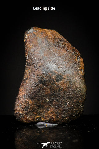 20979 - Taza (NWA 859) Iron Ungrouped Plessitic Octahedrite Meteorite 1.4g ORIENTED