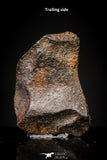 20979 - Taza (NWA 859) Iron Ungrouped Plessitic Octahedrite Meteorite 1.4g ORIENTED