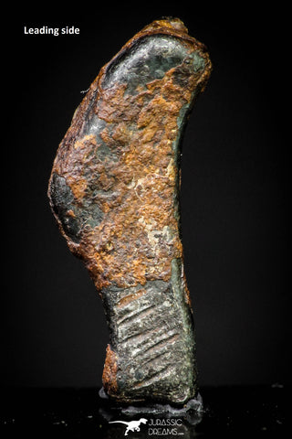 20980 - Taza (NWA 859) Iron Ungrouped Plessitic Octahedrite Meteorite 1.9g ORIENTED