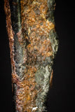 20980 - Taza (NWA 859) Iron Ungrouped Plessitic Octahedrite Meteorite 1.9g ORIENTED