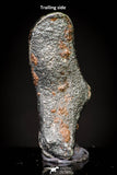 20981 - Taza (NWA 859) Iron Ungrouped Plessitic Octahedrite Meteorite 1.6g ORIENTED