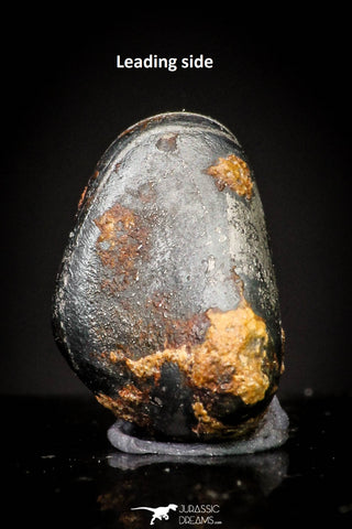 20982 - Taza (NWA 859) Iron Ungrouped Plessitic Octahedrite Meteorite 1.2g ORIENTED