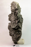 09165 - Top Beautiful 9.09 Inch Barite Crystals Cluster - Mibladen Mining District, Morocco