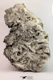 09165 - Top Beautiful 9.09 Inch Barite Crystals Cluster - Mibladen Mining District, Morocco