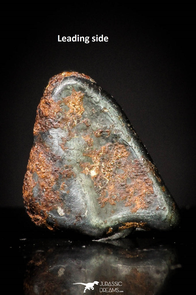 20983 - Taza (NWA 859) Iron Ungrouped Plessitic Octahedrite Meteorite 0.8g ORIENTED