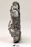 09167 - Top Beautiful 2.43 Inch Galena Crystals + Quartz Crystals - Alnif, South Morocco