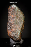 20985 - Taza (NWA 859) Iron Ungrouped Plessitic Octahedrite Meteorite 1.5g ORIENTED