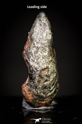 20986 - Taza (NWA 859) Iron Ungrouped Plessitic Octahedrite Meteorite 1.1g ORIENTED