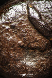 05222 - Beautiful Pyritized 0.73 Inch Unidentified Lower Cretaceous Ammonites