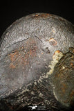 20987 - Taza (NWA 859) Iron Ungrouped Plessitic Octahedrite Meteorite 1.2g ORIENTED