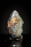 20988 - Taza (NWA 859) Iron Ungrouped Plessitic Octahedrite Meteorite 0.7g ORIENTED