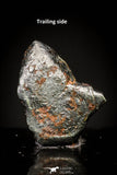 20988 - Taza (NWA 859) Iron Ungrouped Plessitic Octahedrite Meteorite 0.7g ORIENTED