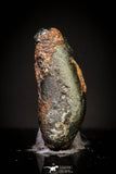 20990 - Taza (NWA 859) Iron Ungrouped Plessitic Octahedrite Meteorite 0.6g ORIENTED