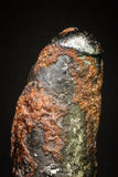 20990 - Taza (NWA 859) Iron Ungrouped Plessitic Octahedrite Meteorite 0.6g ORIENTED