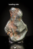 20991 - Taza (NWA 859) Iron Ungrouped Plessitic Octahedrite Meteorite 0.5g ORIENTED