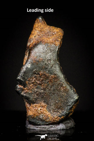 20993 - Taza (NWA 859) Iron Ungrouped Plessitic Octahedrite Meteorite 1.0g ORIENTED