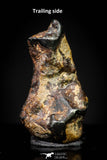 20993 - Taza (NWA 859) Iron Ungrouped Plessitic Octahedrite Meteorite 1.0g ORIENTED