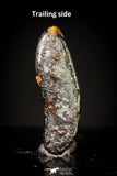 20994 - Taza (NWA 859) Iron Ungrouped Plessitic Octahedrite Meteorite 0.2g ORIENTED