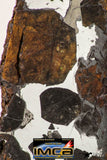 09180 - Sericho Pallasite Meteorite Polished Section Fell in Kenya 14.3 g