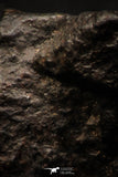 05267 - Partial NWA L-H Type Unclassified Ordinary Chondrite Meteorite 4.8g