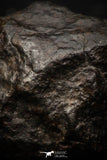 05267 - Partial NWA L-H Type Unclassified Ordinary Chondrite Meteorite 4.8g